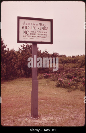 Neun tausend Hektar Salzwiesen 06/1973 Stockfoto