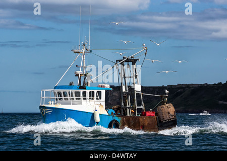 Eine Fischerei Trawler Köpfe heraus zum Meer gefolgt von einigen Möwen. Stockfoto