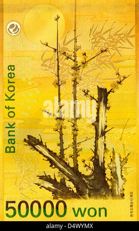 Südkorea fünfzig tausend Won-Banknote Stockfoto