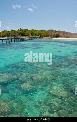 Great Barrier Reef, Australien Stockfoto