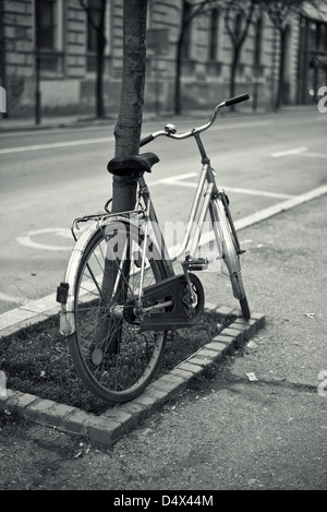 Altes Fahrrad gelehnt auf dem Baum auf der Straße, schwarze und weiße Vintage-Stil Bild. Stockfoto