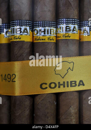 14. März 2013 werden zum Verkauf an die Partagas Tabacco Fabrik in Havanna, Kuba - Havanna, Kuba - kubanische Cohiba Zigarren auf Dienstag, 12. März 2013 gesehen. Kubanische Zigarren sind seit fast fünf Jahrzehnten aufgrund einer strengen Handelsembargo platziert, indem die Regierung der Vereinigten Staaten in den Vereinigten Staaten illegal. (Bild Kredit: Josh Edelson/ZUMAPRESS.com ©) Stockfoto