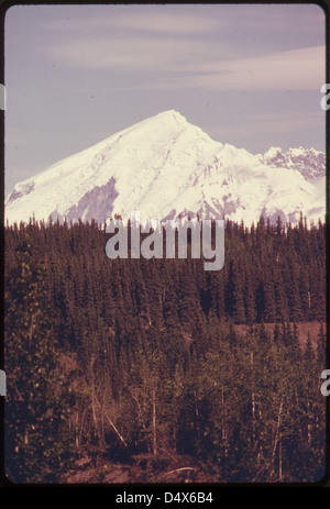 Mount Drum (Höhe 12,002 Fuß) Von Copper Centre Gesehen, Blick Nach Osten. Die 300 mm Linse zeigt den schlafenden Vulkan, der über dem Weißen Fichtenwald aufsteigt, der typisch für viele Standorte in der Gegend ist...08/1974 Stockfoto