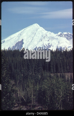 Mount Drum (Höhe 12,002 Fuß) Von Copper Centre Gesehen, Blick Nach Osten. Die 500 mm Linse zeigt den schlafenden Vulkan, der über dem Weißen Fichtenwald aufsteigt, der typisch für viele Standorte in der Gegend ist...08/1974 Stockfoto