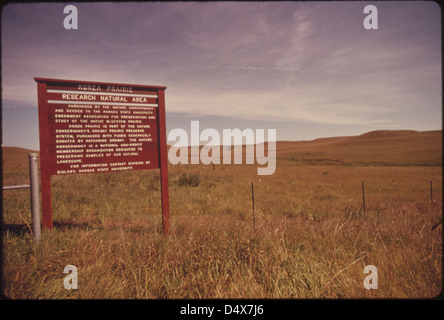 Die Konza Prairie in der Nähe von Manhattan, Kansas... 08/1974 Stockfoto