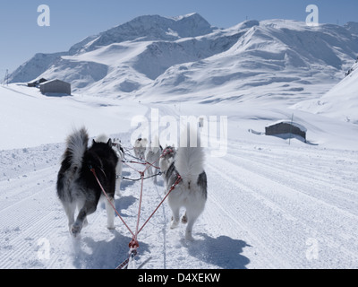 Ansicht der Huskies von Hundeschlitten mit schneebedeckten Bergen im Hintergrund Stockfoto