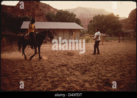 Hank Talman Home in der Navajo Nation. Dies ist ein oben durchschnittliche Fernbedienung Bereich Zuhause Stockfoto