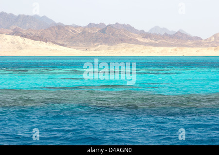 Ras Mohammed im Roten Meer Stockfoto