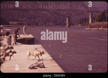 Kaskade schließt am Columbia River, mit Brücke der Götter im Hintergrund. Die über Wasser aufgestützten Polen zu lassen, heißt 'fauler Menschenangeln'. 05/1973 Stockfoto