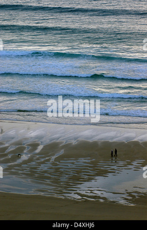 Ein paar nehmen ihren Hund für einen Spaziergang am Strand entlang, als die Sonne untergeht in Cornwall, Großbritannien Stockfoto