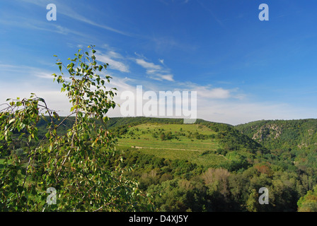 Sobes Weinberg auf podyji National Park in der Tschechischen Republik in der Nähe von Znojmo Stadt Stockfoto