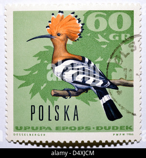 Polnische Briefmarke mit Wiedehopf (Upupa Epops) Stockfoto