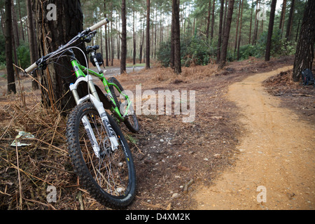 Mountainbiken im Phänomen Wald in der Nähe von Bracknell in Berkshire Stockfoto