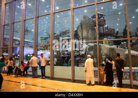 Indoor Schneepark in der Mall of the Emirates, Dubai, Vereinigte Arabische Emirate Stockfoto