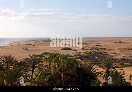 PARQUE NATURAL de Las DUNAS de CORRALEJO. NATURPARK CORRALEJO. KANARISCHEN INSEL FUERTEVENTURA. Stockfoto