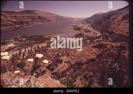 Ein Foto vom Mai 1973, das die Columbia River Gorge von den Rowena Hills zwischen Mosier und den Dalles zeigt. Das Bild hebt die malerische Landschaft der Schlucht und der umliegenden Hügel hervor. Stockfoto