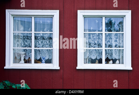 Zwei weiße Fenster mit weißen Gardinen detail gegen helle rote Fassade Haus Wände in der Nähe von Húsavík im Norden Island, Europa, Fensterbänke Stockfoto