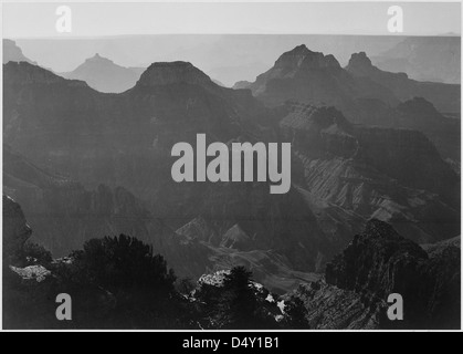 Ein Schwarzweiß-Foto von Ansel Adams, das einen detaillierten Blick auf den Grand Canyon National Park in Arizona zeigt. Das Bild zeigt Sträucher im Vordergrund, die die natürliche Schönheit des Parks und die Wüstenlandschaft betonen. Stockfoto