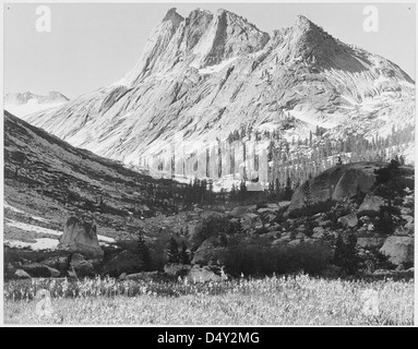 Ansel Adams hat dieses Schwarzweiß-Foto des Boaring River im Kings River Canyon, Kalifornien, im Jahr 1936 aufgenommen. Das Bild dokumentiert die Schönheit des Flusses und sein Potenzial als Nationalpark. Stockfoto