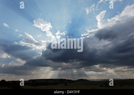 Lichtstrahlen, die durch Wolken, Masai Mara, Kenia Stockfoto