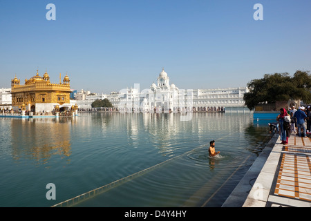 Ein Sikh Anhänger Baden im heiligen Wasser des heiligen Pools an den herrlichen goldenen Tempel in Amritsar Punjab, Indien Stockfoto