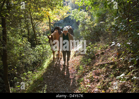 Europa, Italien, Toskana, Garfagnana, Fabbriche di Vallico Bereich, Ranch la Fornace, trekking zu Pferd Stockfoto