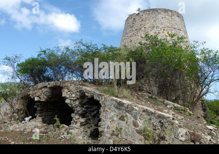 Ruinen einer alten Zuckermühle am Watcho Beach, St. Croix, Amerikanische Jungferninseln. Stockfoto