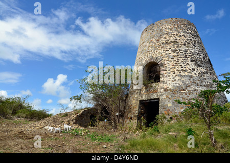 Ruinen einer alten Zuckermühle am Watcho Beach, St. Croix, Amerikanische Jungferninseln. Stockfoto