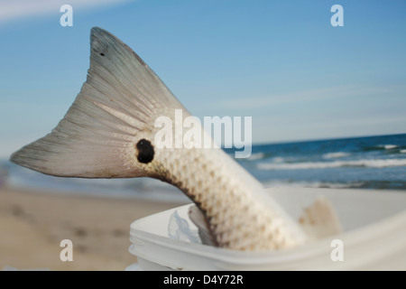 Fisch Rute hängend aus Eimer am Ozean Stockfoto