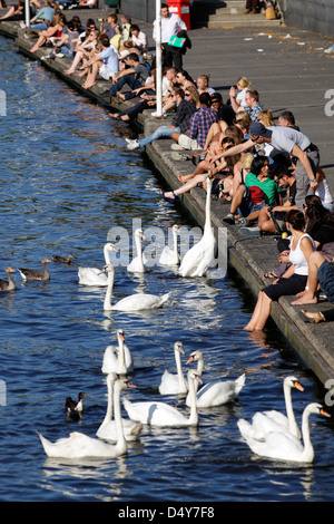 Hamburg, Deutschland, Menschen sitzen am Ufer der Alster Stockfoto