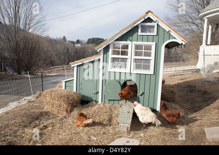 Vermont CSA Hof mit Hühnern im zeitigen Frühjahr mit beweglichen Hühnerstall. Stockfoto