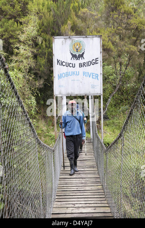 Die Kicucu-Brücke über den Fluss Mobuku, Ruwenzori, Uganda. Stockfoto
