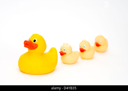 Vier gelbe Gummienten auf weißem Hintergrund Stockfoto