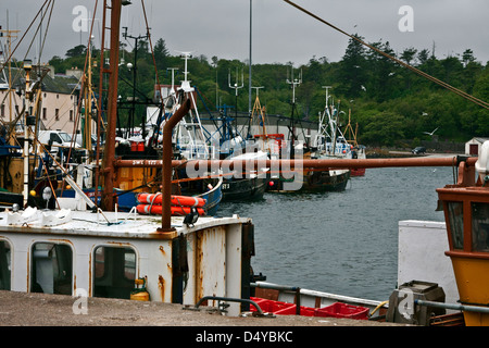 Die Fischereiflotte im Hafen von Stornoway auf der Isle of Lewis, äußeren Hebriden, Schottland Stockfoto