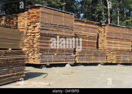 Geordnete Stapel des Trocknens Holzbohlen - Holzindustrie Stockfoto