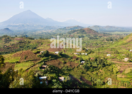 Landschaften rund um Kisoro, Kigezi. Hintergrund: Virunga Vulkane; Mgahinga-Gorilla-Nationalpark. Stockfoto