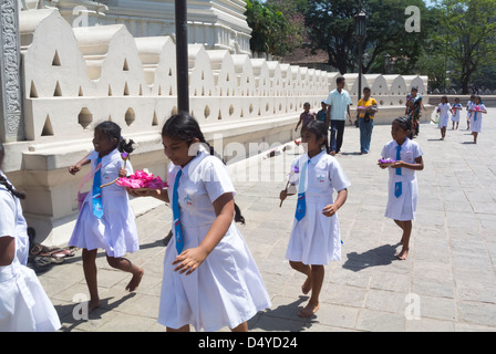 Sri-lankische Mädchen, die auf der Straße laufen, Kandy, Sri Lanka Stockfoto