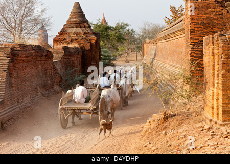 Baga, Myanmar.  Ochsenkarren sind eine Chef Form des Nahverkehrs in Bagan. Stockfoto