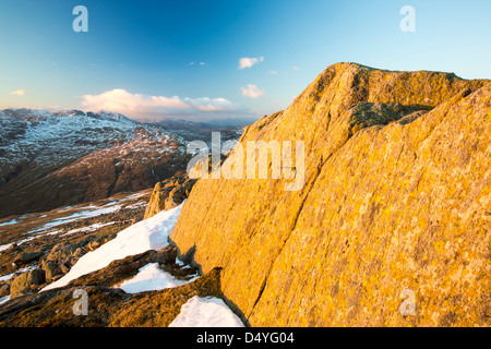 Flechten Sie bedeckte Felsen am großen Torfgebieten über Wrynose in der Seenplatte, Cumbria, UK, mit Blick auf Crinkle Craggs und Bogen fiel. Stockfoto