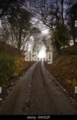 Schmalen Feldweg führt bergauf durch Bäume Stockfoto