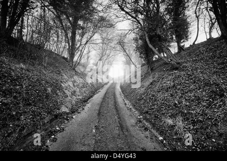 Schmalen Feldweg führt bergauf durch Bäume Stockfoto