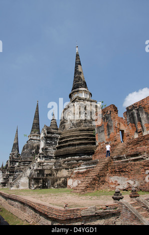 Thailand, Ayutthaya. Wat Phra Si Sanphet. Traditionellen glockenförmigen Chedi Tempel. UNESCO Stockfoto