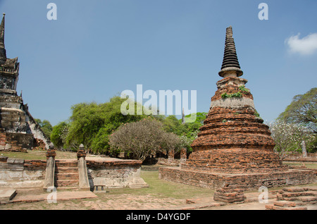 Thailand, Ayutthaya. Wat Phra Si Sanphet. Traditionellen glockenförmigen Chedi Tempel. UNESCO Stockfoto