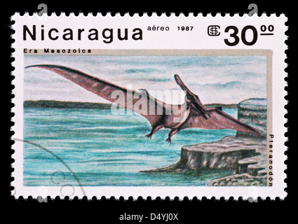 Briefmarke aus Nicaragua Darstellung ein Pteranodon Stockfoto