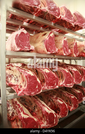 Kürzungen von Rindfleisch in Regalen in einem Schlachthof Reifung Stockfoto