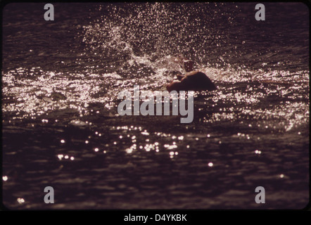 Schwimmen im Lake Havasu, Mai 1972 Stockfoto