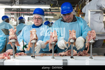 Arbeiter bereiten Hühnerschlachtkörpern auf der Linie in einer Aufbereitungsanlage in Delaware, USA am 1. März 2013. Stockfoto