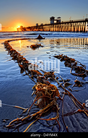 Oceanside Pier, gefangen auf einen extrem niedrigen Gezeiten-Abend. Stockfoto