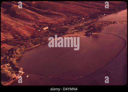 Luftaufnahme des verlassenen Fischteich, November 1973 Stockfoto