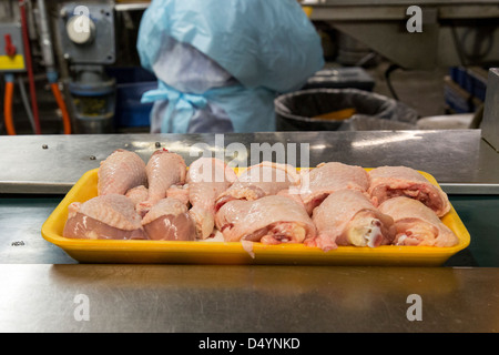 Arbeiter bereiten Hühnerschlachtkörpern auf der Linie in einer Aufbereitungsanlage in Delaware, USA am 1. März 2013. Stockfoto